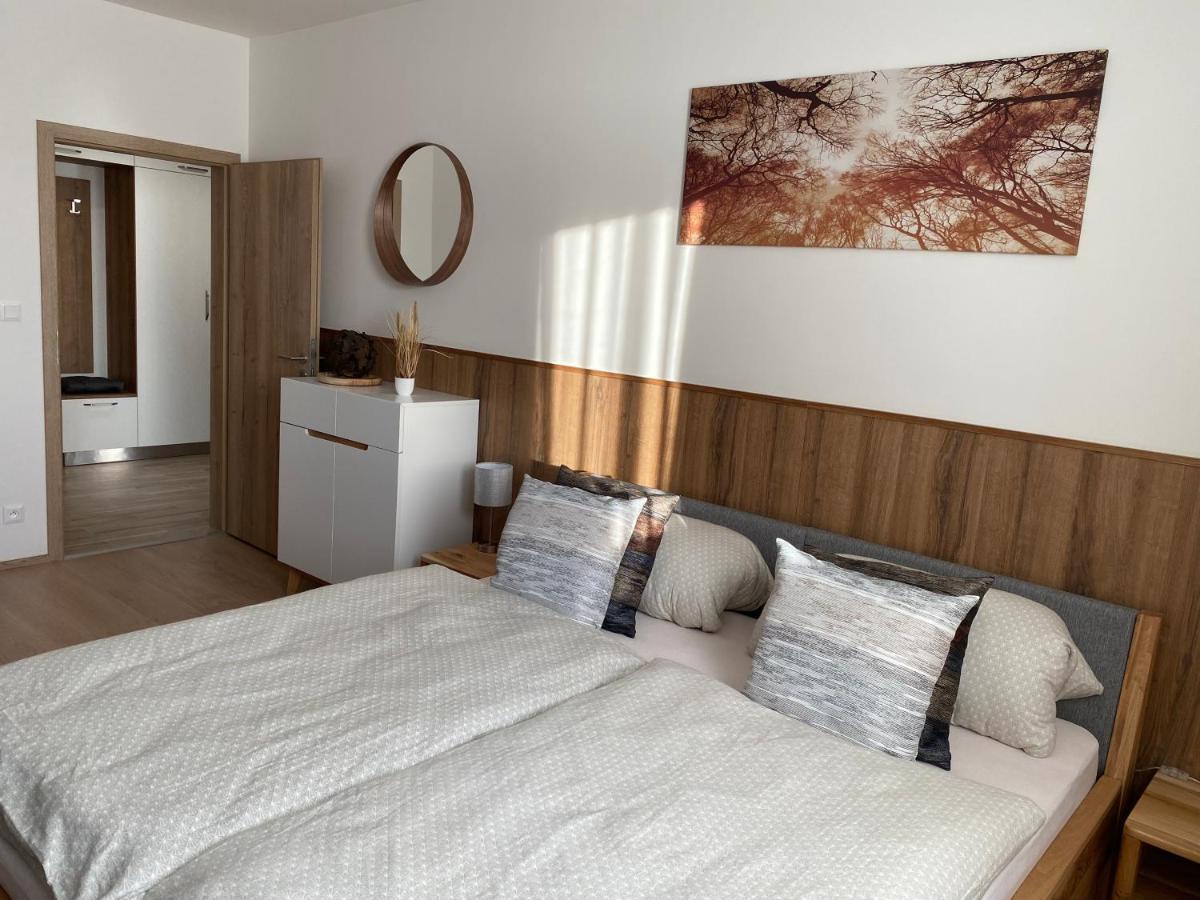 Apartment Petra Klinovec Loučná pod Klínovcem 外观 照片